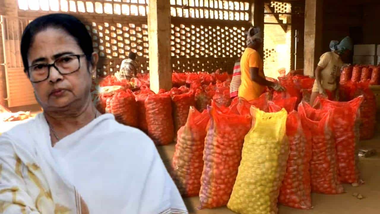 Potato Crisis: ‘কলকাতার মানুষকে কম দামে আলু খাওয়াতে চাইছেন’, হিমঘরের ‘স্টক ক্লিয়ার’ না হতে মমতার বিরুদ্ধে ক্ষোভ আলু ব্যবসায়ীদের Potato Crisis: ‘কলকাতার মানুষকে কম দামে আলু খাওয়াতে চাইছেন’, হিমঘরের ‘স্টক ক্লিয়ার’ না হতে মমতার বিরুদ্ধে ক্ষোভ আলু ব্যবসায়ীদের