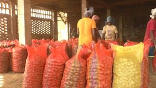 Potato Price: হিমঘরেই ছিল প্রায় সাড়ে ১২ কোটি প্যাকেট আলু, জোগান কমের অজুহাত কেন? কালোবাজারির অভিযোগ সরব বিরোধীরা