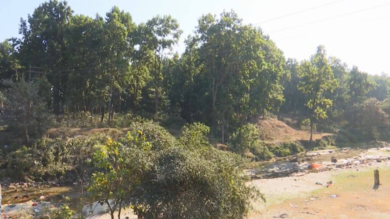 Siliguri Municipality: আটকে ১০ হাজার কোটির বিনিয়োগ,মহানন্দা অভয়ারণ্যে নির্মাণের বিধিনিষেধের ক্ষেত্রে পিছু হটছে পৌরনিগম?