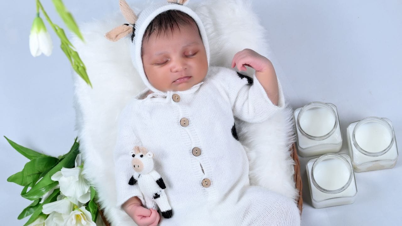 নায়রা-আধুনিক নাম। অনেকের অতি পছন্দের নামও। যার অর্থ চাঁদের মতো উজ্জ্বল। যে কন্যা সন্তান আপনার জীবনে আলো এনেছে, তার জন্য এই নামটি কিন্তু দুর্দান্ত বলাই যায়। সব ছবি: CANVA