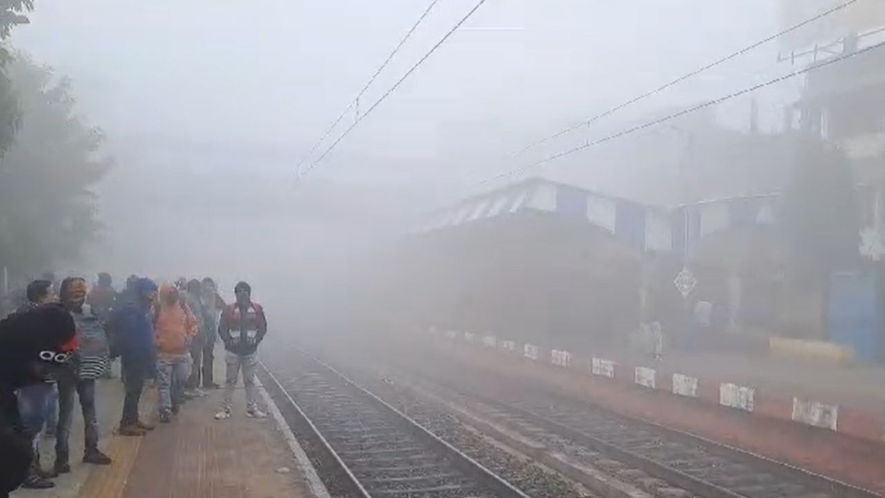 Weather Update: ঘন কুয়াশায় ঢেকেছে শহর, দেরিতে চলেছে ট্রেন, ঘুরিয়ে দেওয়া হচ্ছে বিমানের যাত্রাপথ