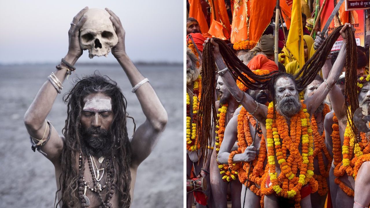 Naga Sadhu vs Aghori Baba: ভষ্ম মাখা, নগ্ন, মাথার খুলি – কীভাবে চিনবেন কোনটা নাগা, কোনটা অঘোরি সাধু?