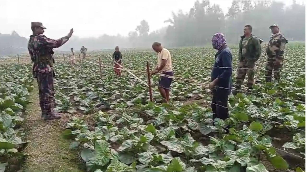 BSF-BGB: কাঁটাতার দেখেই আঙুল উঁচিয়ে ঝগড়া করতে এল BGB, পাল্টা BSF বলল, আপনাদের ভাগ্য ভাল, এখনও সুরক্ষিত রয়েছেন...