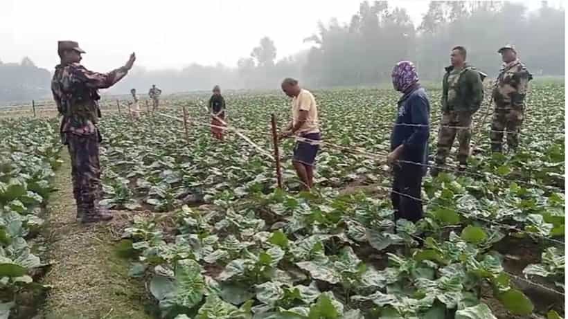 BSF-BGB: কাঁটাতার দেখেই আঙুল উঁচিয়ে ঝগড়া করতে এল BGB, পাল্টা BSF বলল, আপনাদের ভাগ্য ভাল, এখনও সুরক্ষিত রয়েছেন...