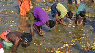 Pumpkin Seeds: প্রতিদিন শুধু এক চা চামচ কুমড়োর বীজ খান! কী কী লাভ হবে জানেন?