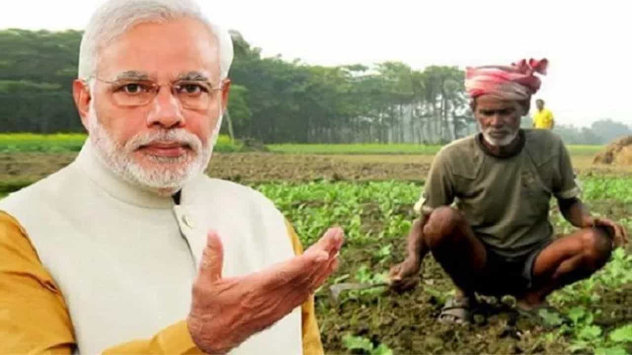 Agricultural export: মোদীর আমলে যেসব ভারতীয় কৃষিপণ্য প্রথমবার বিশ্ববাজারে পা রেখেছে, দেখে নিন একনজরে...
