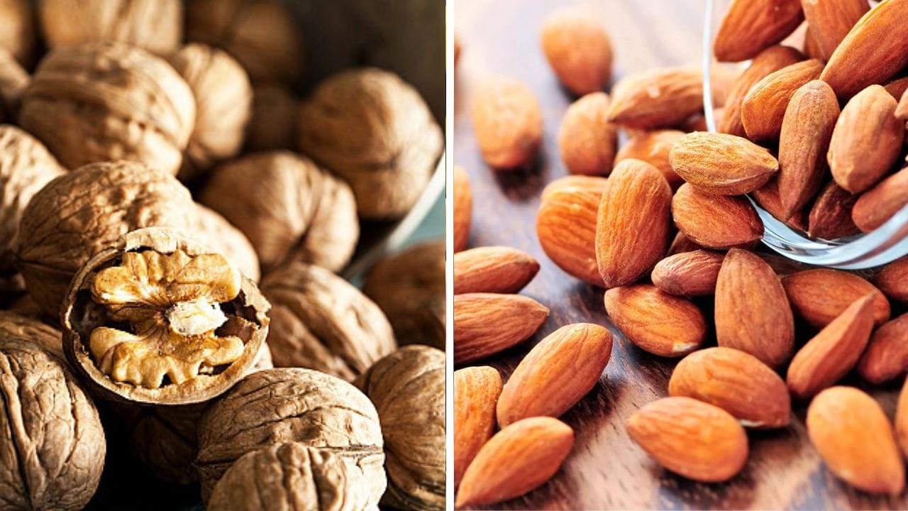 Health Tips: আখরোট নাকি বাদাম, মাথার জোর বাড়াতে কোনটা বেশি উপকারী? Health Tips: আখরোট নাকি বাদাম, মাথার জোর বাড়াতে কোনটা বেশি উপকারী?