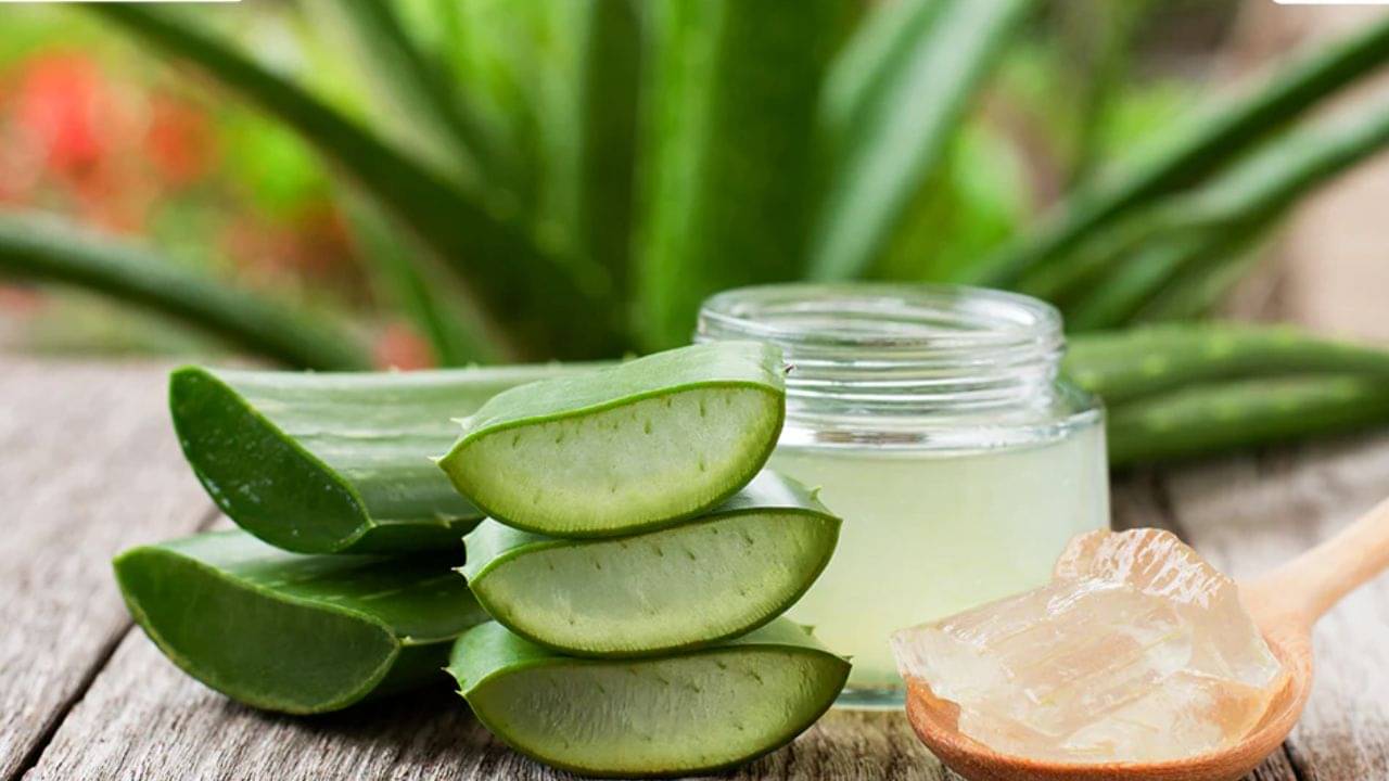 অ্যালোভেরা জেলে দু-ফোঁটা এটি মেশান , ৫ মিনিটেই ফিরবে জেল্লা