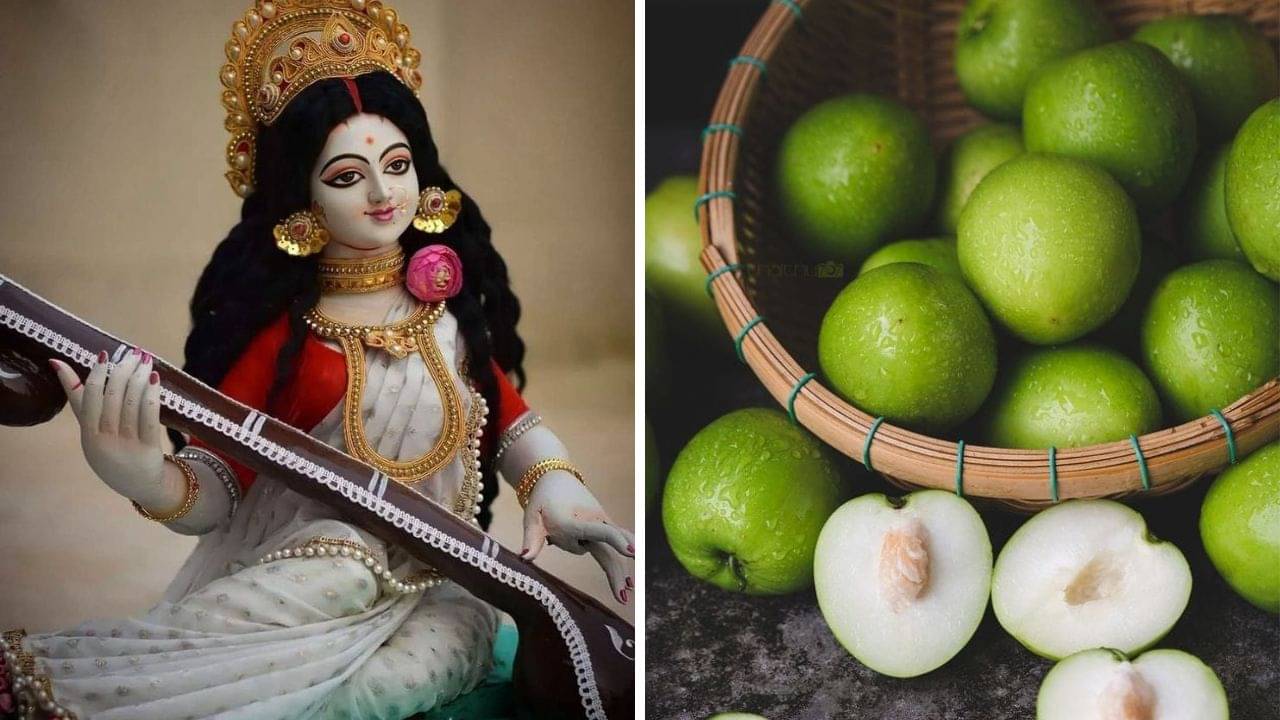 Saraswati Puja 2025: সরস্বতী পুজোর আগে কুল খেলে কি রেগে যান বাগদেবী? আসল সত্যিটা কী?