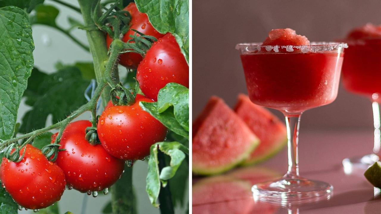 Depression: মন খারাপের ওষুধ টমেটো-তরমুজ! কী বলছে গবেষণা?