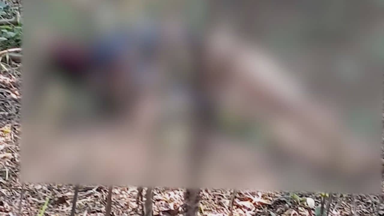 Newtown Dead body Recovery: গায়ে পোশাক নেই বললেই চলে, পাশে পড়ে একটা কমলালেবু! নিউটাউনের জঙ্গলে নাবালিকার অর্ধনগ্ন দেহ ঘিরে দানা বাঁধছে রহস্য