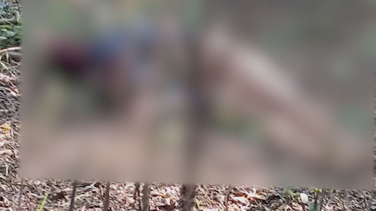 Newtown Dead body Recovery: গায়ে পোশাক নেই বললেই চলে, পাশে পড়ে একটা কমলালেবু! নিউটাউনের জঙ্গলে নাবালিকার অর্ধনগ্ন দেহ ঘিরে দানা বাঁধছে রহস্য Newtown Dead body Recovery: গায়ে পোশাক নেই বললেই চলে, পাশে পড়ে একটা কমলালেবু! নিউটাউনের জঙ্গলে নাবালিকার অর্ধনগ্ন দেহ ঘিরে দানা বাঁধছে রহস্য