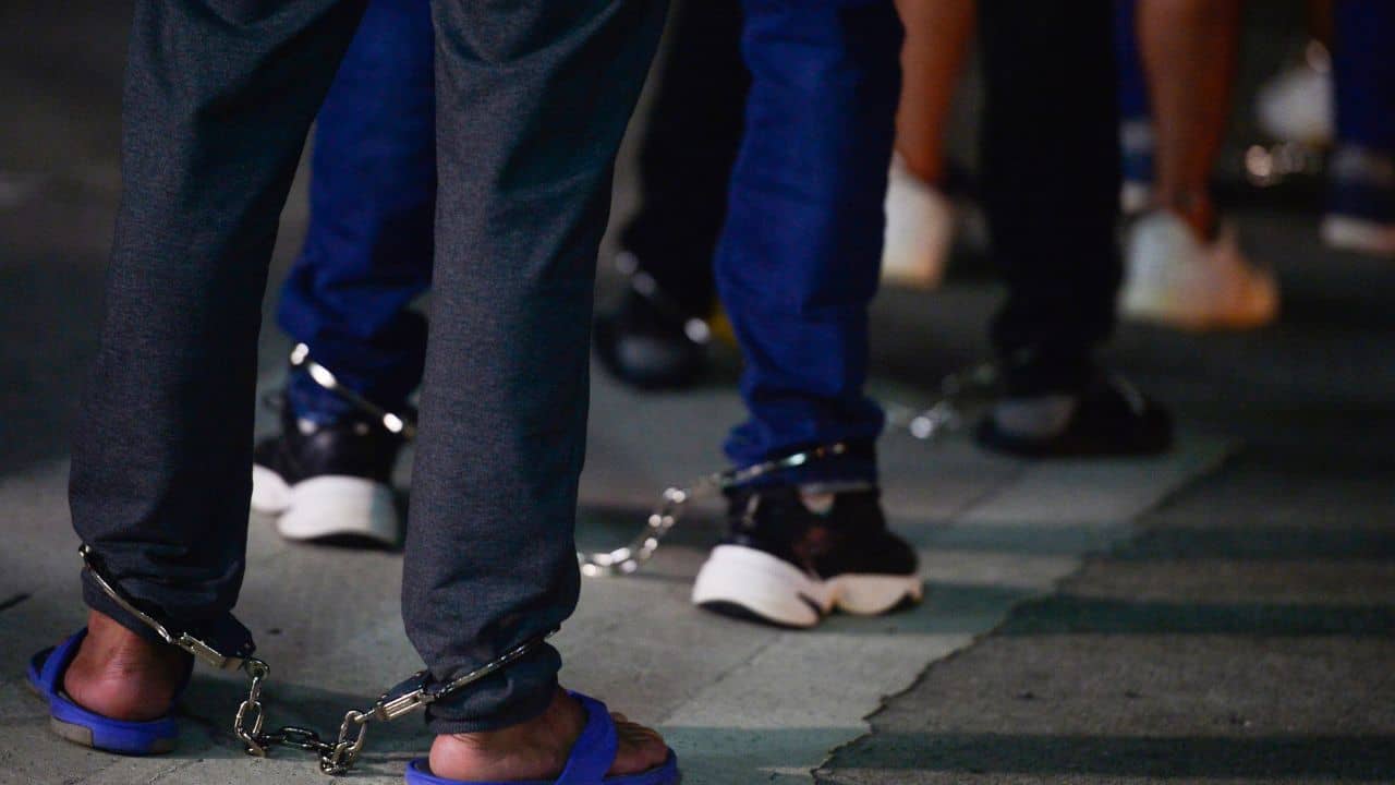 আমরা যেন পশু, হাতে পায়ে কড়া পরিয়ে যেভাবে ছুড়ে ফেলল..., ভারতীয়দের সঙ্গে কী কী করছে ট্রাম্প সরকার, সব সত্যিটা সামনে