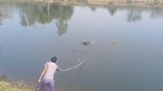 Asansol: বেআইনিভাবে কয়লা সংগ্রহ করতে গিয়েই বিপদ, চাঁই ভেঙে মৃত্যু যুবকের
