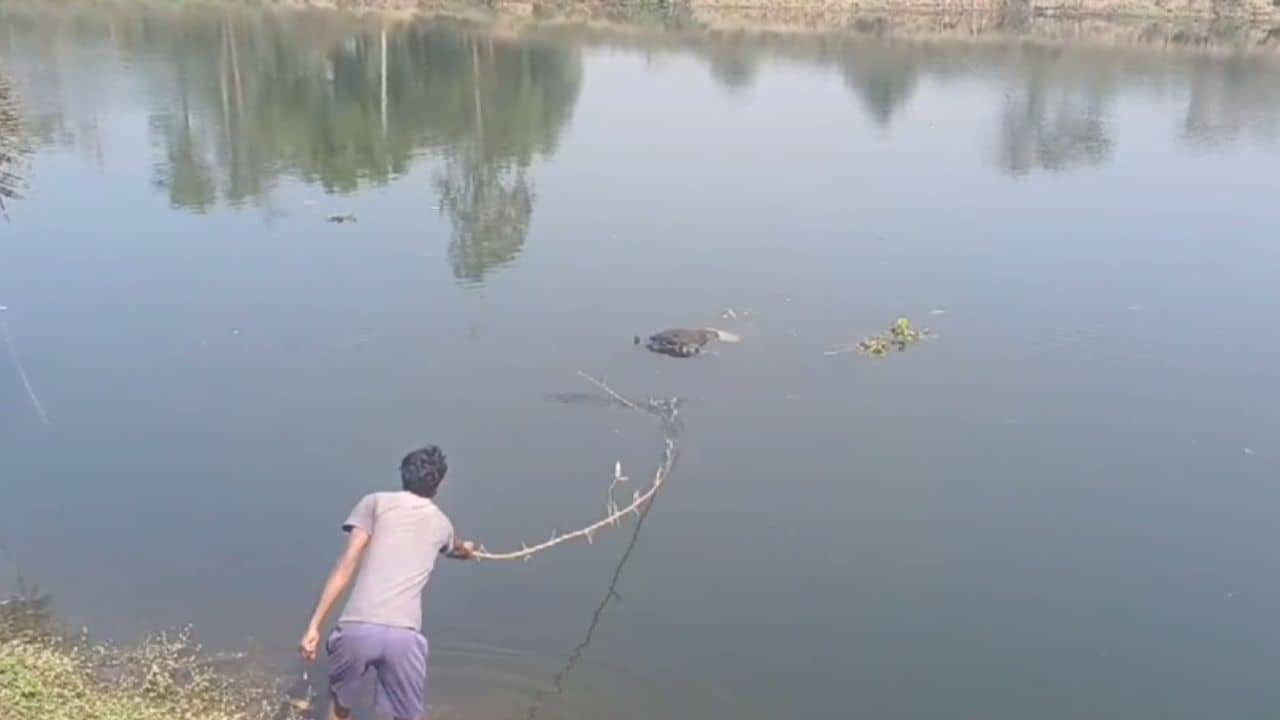 Durgapur: DVC-র খালের জলে ওইটা কী? আঁতকে উঠলেন লোকজন