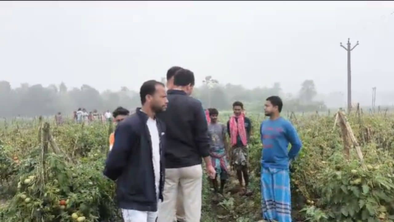 Duttapukur: পাশে চিপসের প্যাকেট, উন্মুক্ত যৌনাঙ্গ! সরস্বতী পুজোর জোগাড়ের ফাঁকেই মাঠের ধারে খোলামেলা এ দৃশ্য, ঢি পড়ল গ্রামে