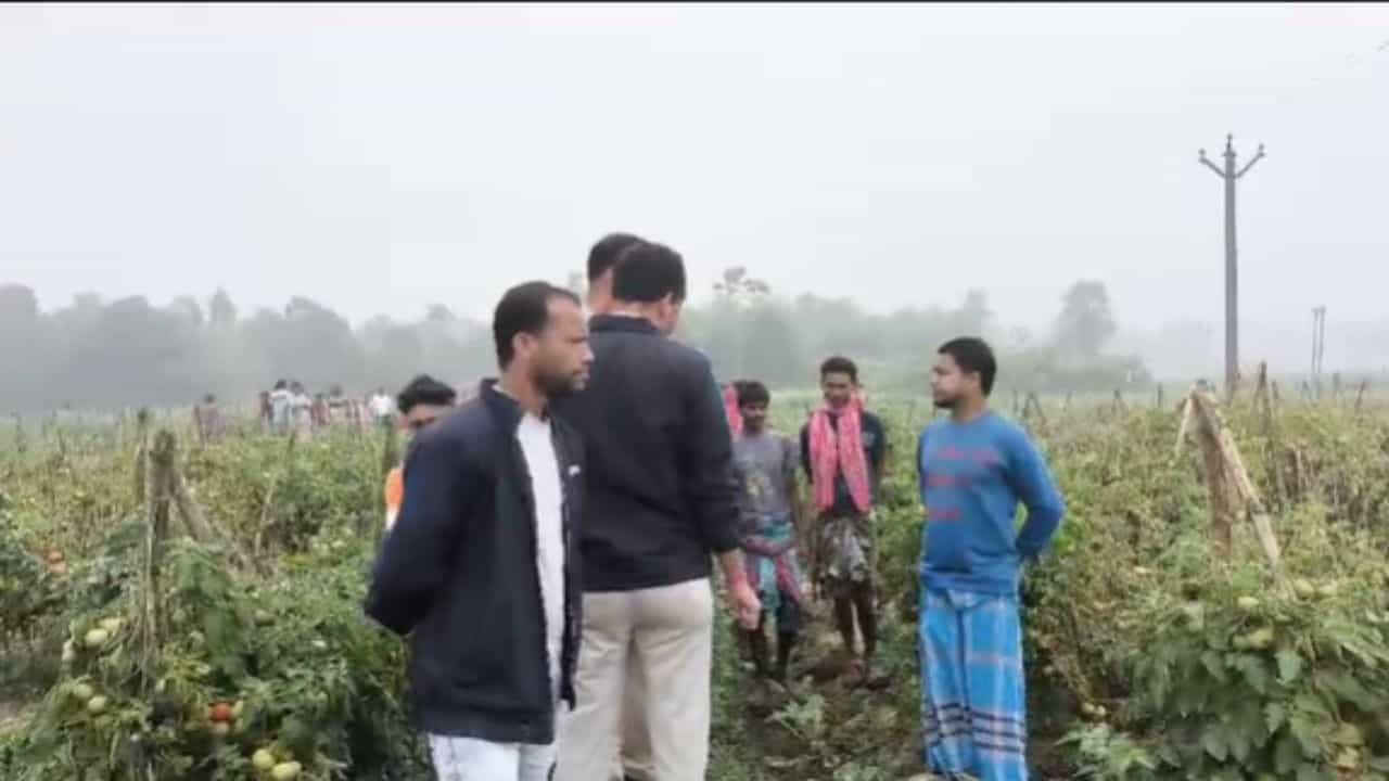Duttapukur: পাশে চিপসের প্যাকেট, উন্মুক্ত যৌনাঙ্গ! সরস্বতী পুজোর জোগাড়ের ফাঁকেই মাঠের ধারে খোলামেলা এ দৃশ্য, ঢি পড়ল গ্রামে