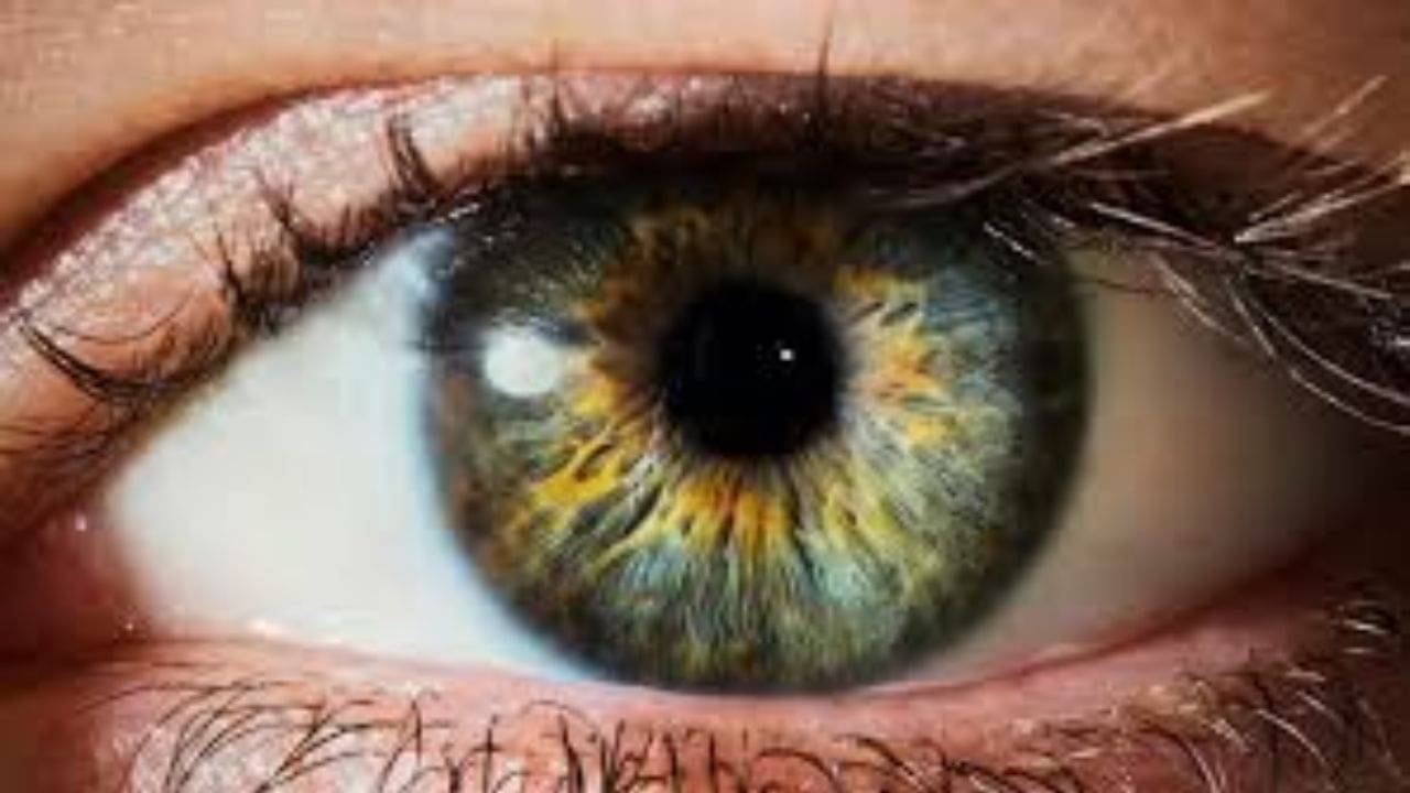 বাম বা ডান চোখ লাফানো কি শুভ? সত্যিটা জেনে নিন