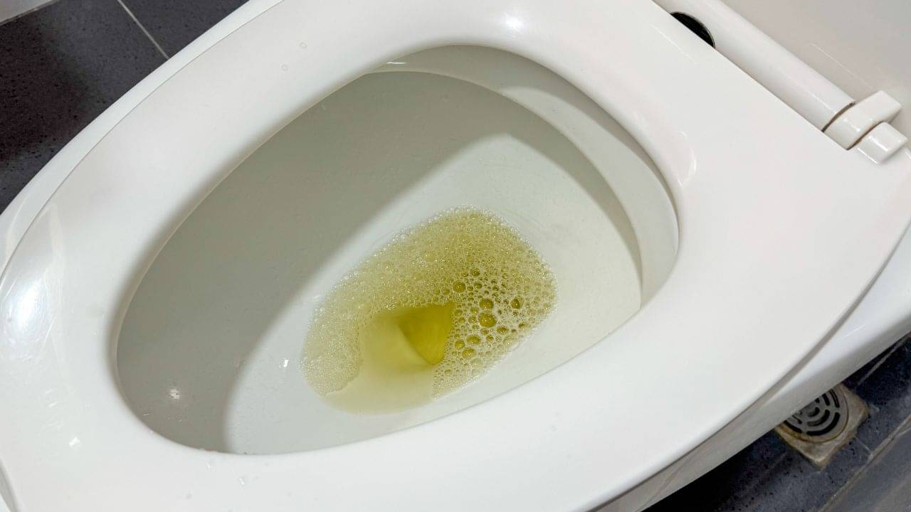 Forthy Urine: প্রস্রাব করলে বেশি ফেনা হচ্ছে? সাবধান, বড় বিপদের ইঙ্গিত হতে পারে