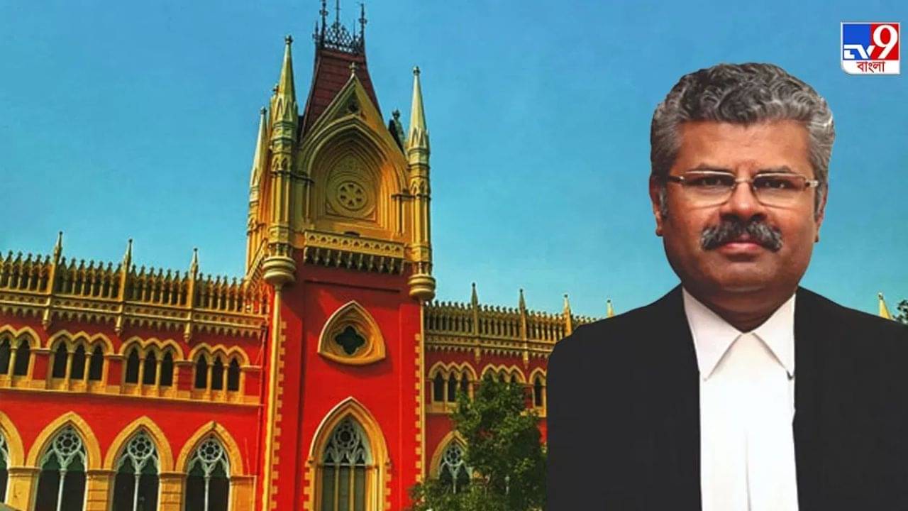 Calcutta High Court: ক্রিসমাসে লাইটিং করেই খুব গর্ব বোধ করেন? কী হচ্ছে এখানে?, কেন হঠাৎ প্রধান বিচারপতির ভর্ৎসনার মুখে পড়ল রাজ্য?