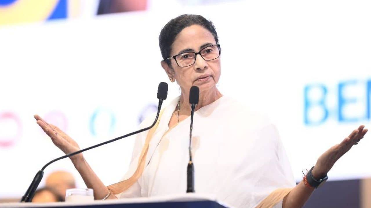 Mamata Banerjee on Voter List: রহস্যটা আমি উন্মোচন করে দিলাম, দুই সংস্থার নাম বলে বিস্ফোরক অভিযোগ মমতার