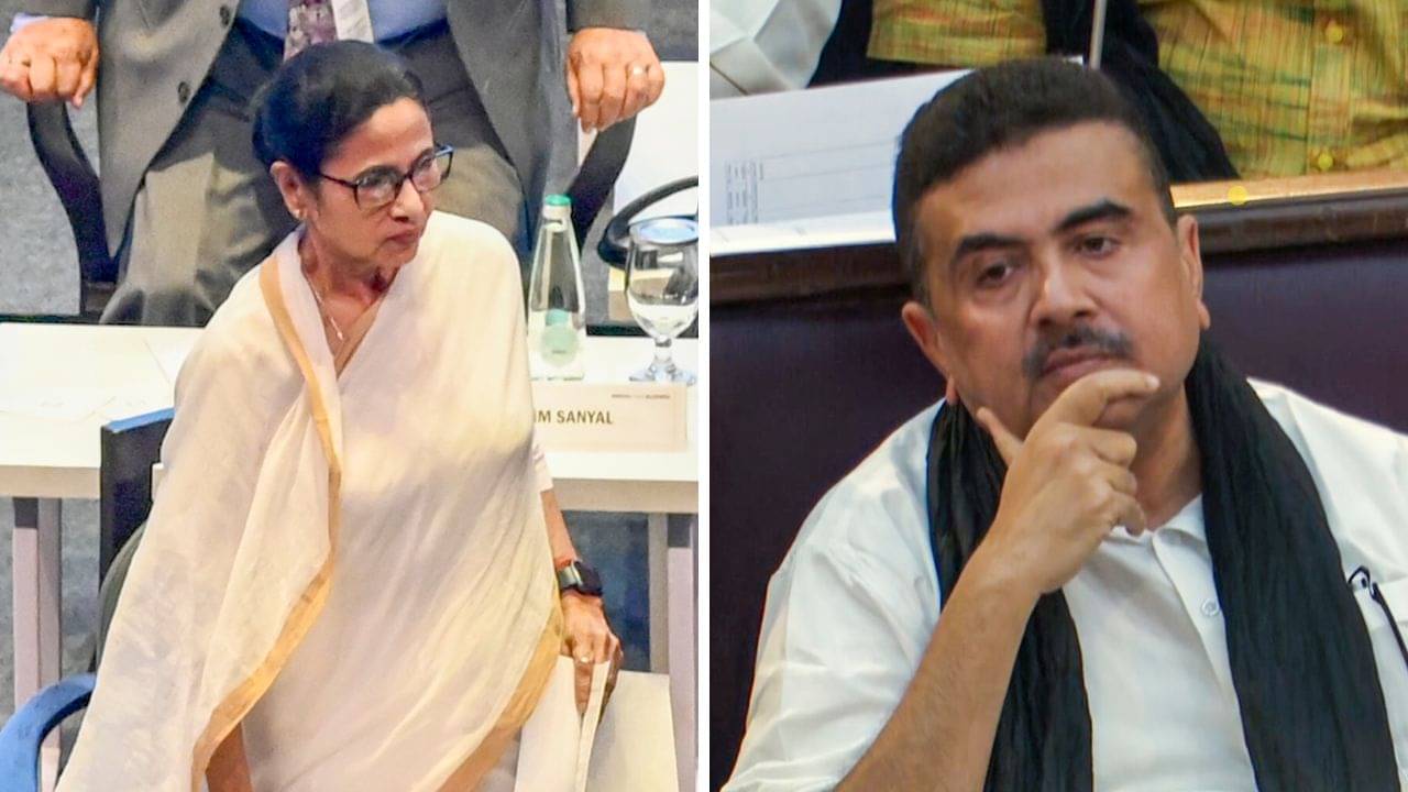 Mamata-Suvendu: বেরতে যাচ্ছেন মমতা... হঠাৎ চোখাচোখি শুভেন্দুর সঙ্গে, বললেন যাবি না?