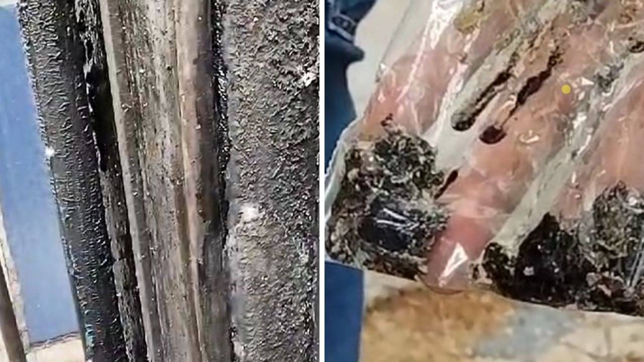 Garia: সোনারপুরের সেই বাড়ি থেকে তেল বেরনোর পরিমাণ দিনে দিনে বাড়ছে, বাগানের গাছপালাও ভরে যাচ্ছে তেলে!