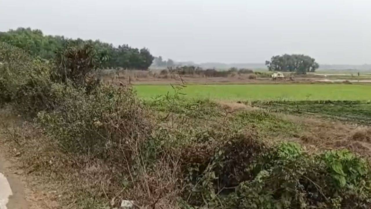 Egra Land: সরকারি জমি সস্তায় কিনে নিয়েছেন তৃণমূল নেতার শাশুড়ি! চাঞ্চল্যকর অভিযোগ এগরায়