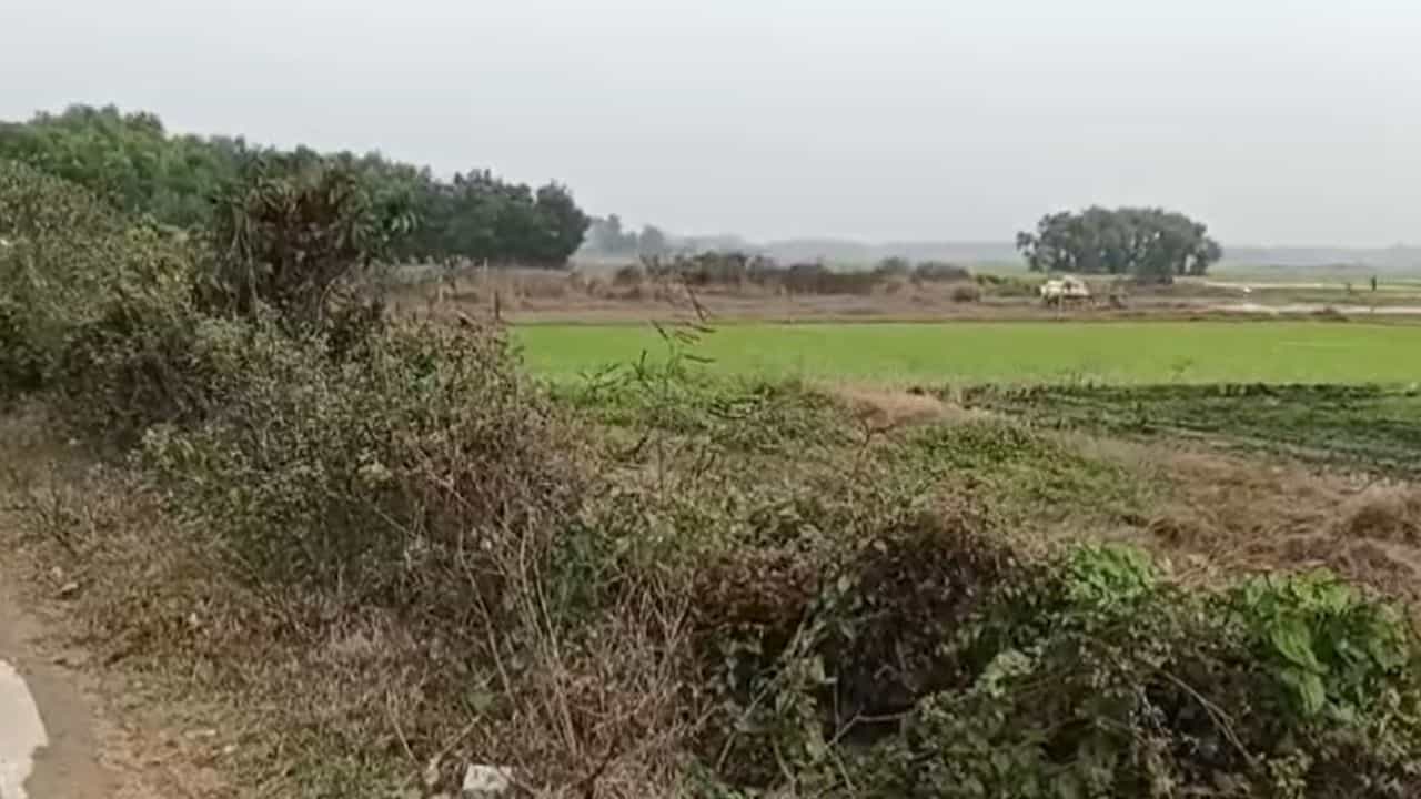 Egra Land: সরকারি জমি সস্তায় কিনে নিয়েছেন তৃণমূল নেতার শাশুড়ি! চাঞ্চল্যকর অভিযোগ এগরায় Egra Land: সরকারি জমি সস্তায় কিনে নিয়েছেন তৃণমূল নেতার শাশুড়ি! চাঞ্চল্যকর অভিযোগ এগরায়