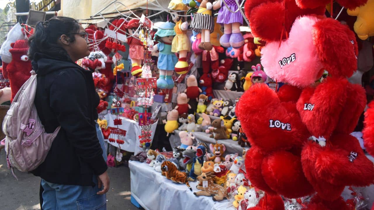 Weather Update: ভ্যালেন্টাইনস ডে-র রাতে শীতের রোমান্স নাকি বসন্তের সুখ! কেমন থাকবে আবহাওয়া, প্ল্যান করার আগে জেনে নিন
