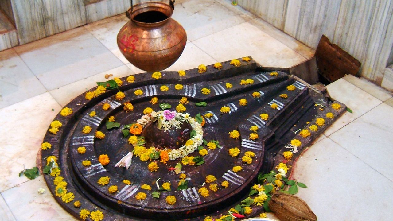 Maha Shivratri 2025: মহাশিবরাত্রিতে মহাদেবের দ্বিগুণ আশীর্বাদ পেতে চান? দান করুণ এই ৪ জিনিস