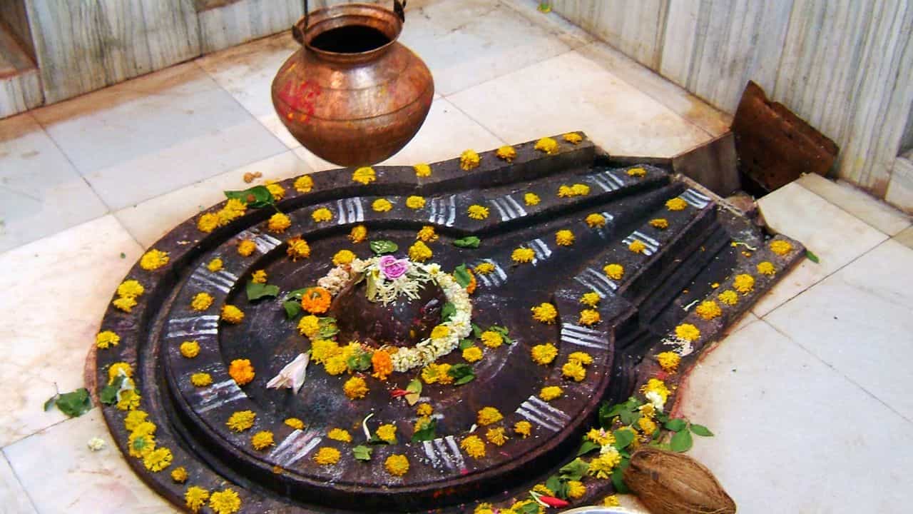 Maha Shivratri 2025: মহাশিবরাত্রিতে মহাদেবের দ্বিগুণ আশীর্বাদ পেতে চান? দান করুণ এই ৪ জিনিস Maha Shivratri 2025: মহাশিবরাত্রিতে মহাদেবের দ্বিগুণ আশীর্বাদ পেতে চান? দান করুণ এই ৪ জিনিস