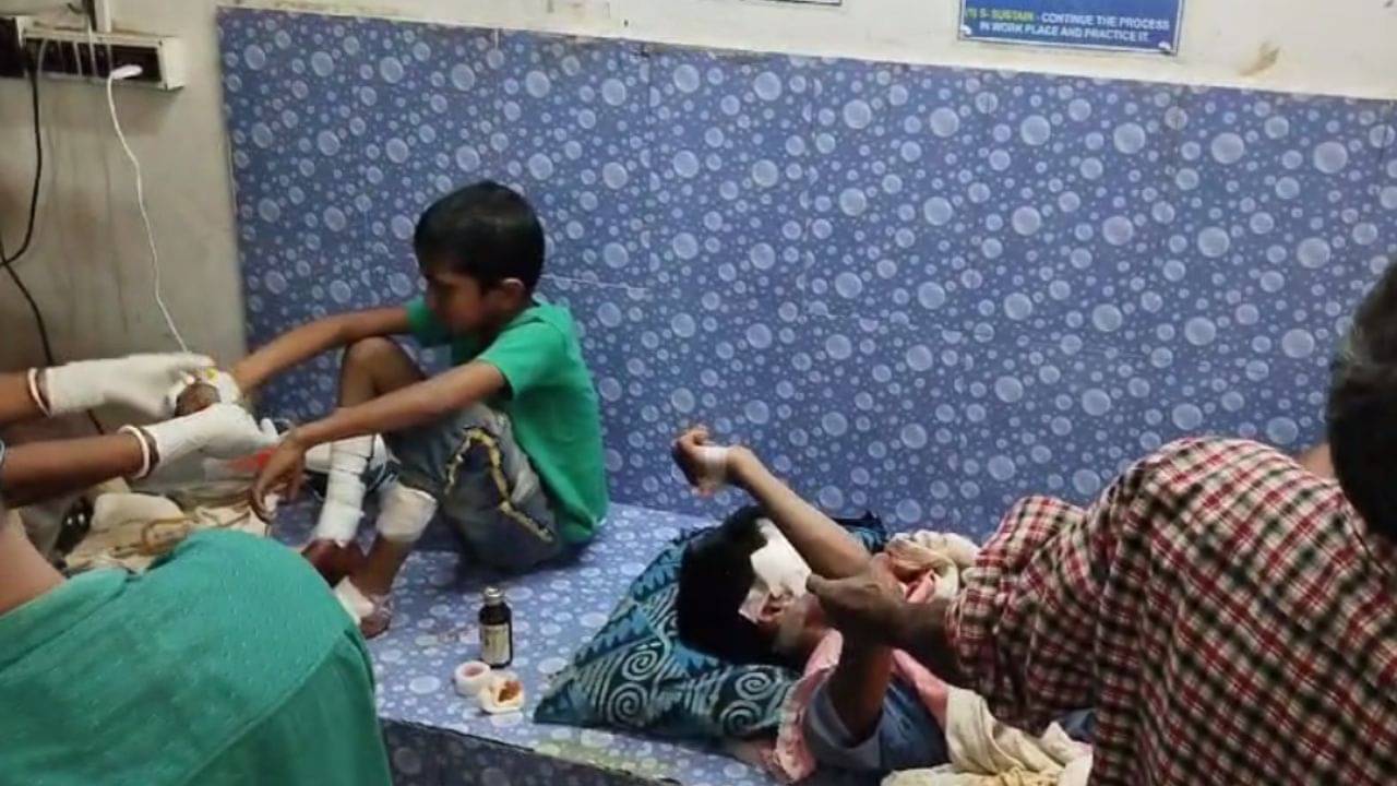 Malda: এবার গুলি নয়, জোরাল বোমা বিস্ফোরণ মালদহে, আহত দুই কিশোর