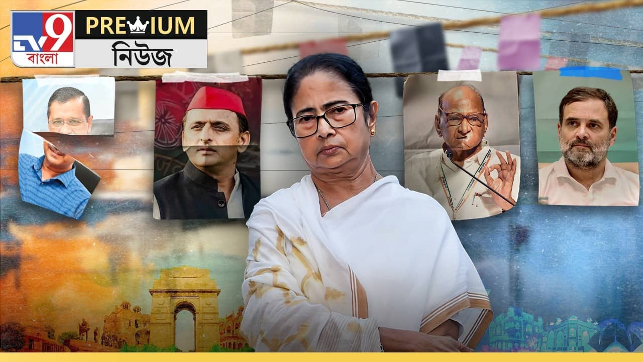 EXPLAINED: এবার কি মমতা ইজ INDIA, INDIA ইজ মমতা?