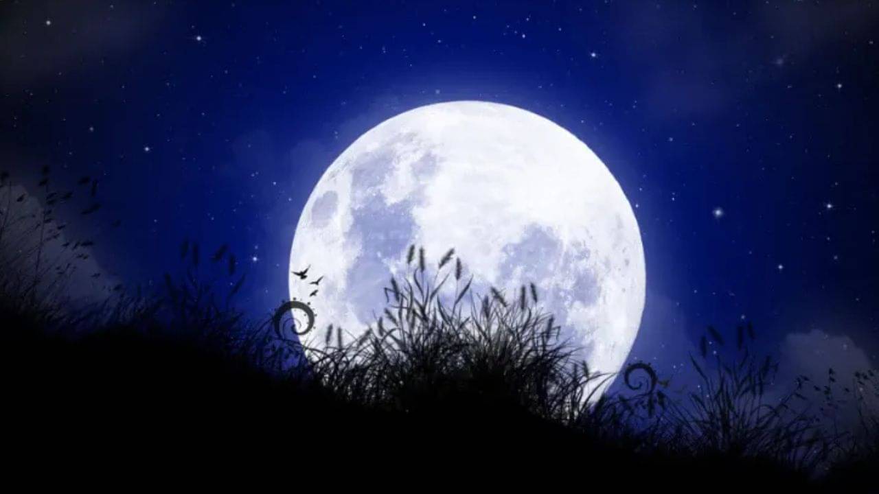 দিন না রাতে, কোন সময়ে জন্ম? মাঘী পূর্ণিমা জীবন বদলে দেবে!