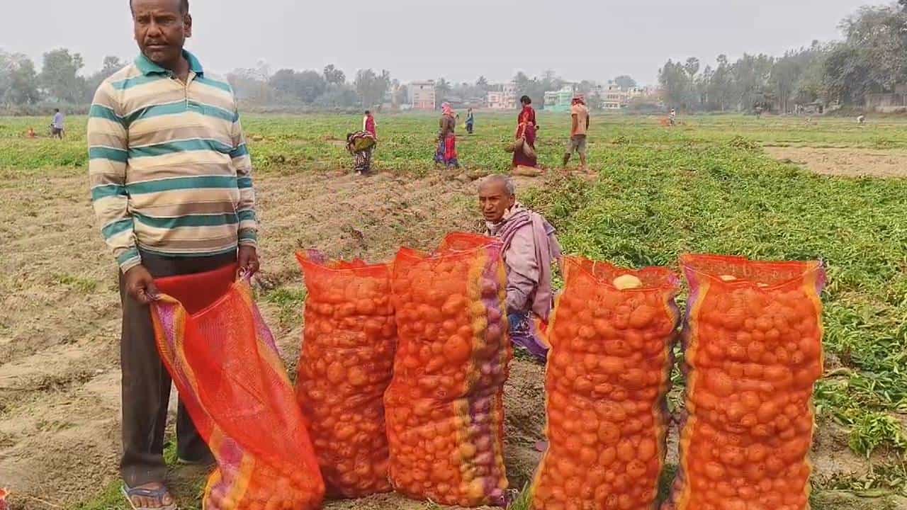 Potato Price: ‘‘দালালদের হাত শক্ত করছেন’, আলুর দাম বাড়ানোর কথা বলতেই ‘চক্রান্তের' অভিযোগে কাঠগড়ায় দলেরই কর্মীরা Potato Price: ‘‘দালালদের হাত শক্ত করছেন’, আলুর দাম বাড়ানোর কথা বলতেই ‘চক্রান্তের' অভিযোগে কাঠগড়ায় দলেরই কর্মীরা