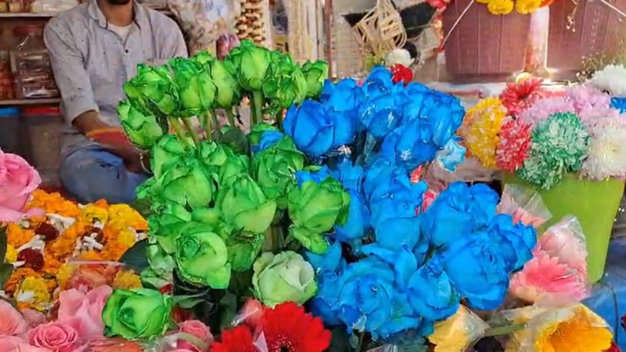 Rose: আসলে আমি আগে জানতাম না..., বশীকরণ মন্ত্র টোটকা এসেছে বেঙ্গালুরু থেকে! কেন নীল রঙের গোলাপেই মজে জেন জি থেকে দম্পতিরাও?