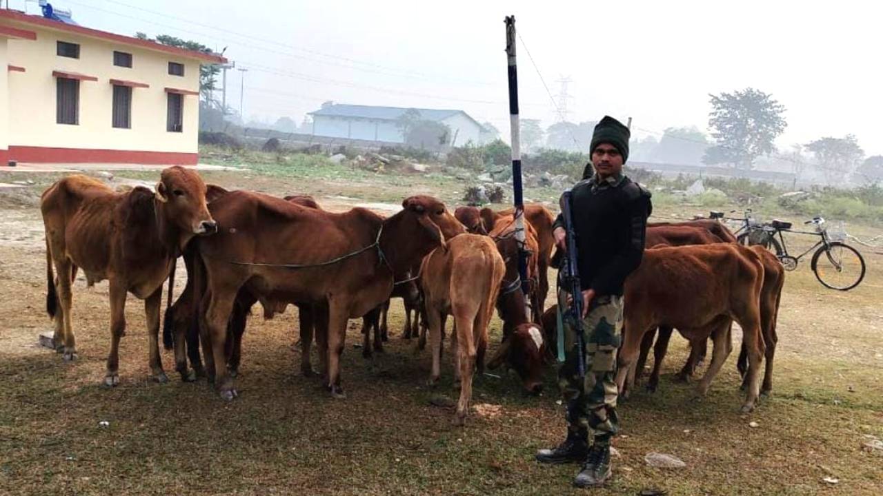 কুয়াশার আড়ালেই সীমান্তে অপারেশনের ছক, BSF-র উপর হামলা, গুলি করতেই সব ফেলে ছুট বাংলাদেশিদের