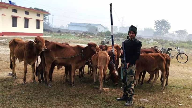 কুয়াশার আড়ালেই সীমান্তে অপারেশনের ছক, BSF-র উপর হামলা, গুলি করতেই সব ফেলে ছুট বাংলাদেশিদের