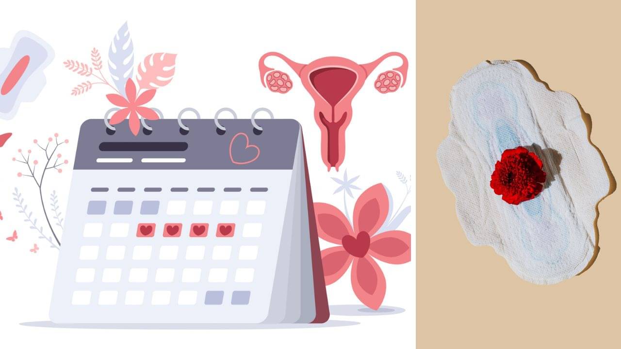 Periods: মাত্র ২ দিনেই শেষ হচ্ছে পিরিয়ড, গুরুতর কোনও রোগ শরীরে জাঁকিয়ে বসছে না তো?