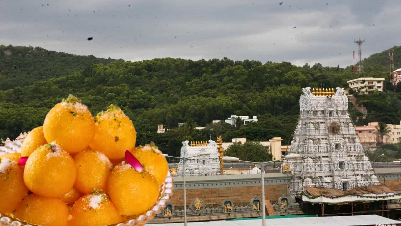 Tirupati Laddoo Row: তিরুপতির প্রসাদী লাড্ডুতে গরুর চর্বি! ৪ মাথাকে গ্রেফতার CBI-এর Tirupati Laddoo Row: তিরুপতির প্রসাদী লাড্ডুতে গরুর চর্বি! ৪ মাথাকে গ্রেফতার CBI-এর