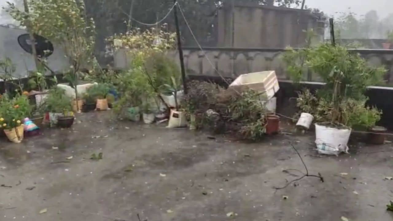 Latest Weather Update: ঝেঁপে নামল বৃষ্টি, সঙ্গে পড়ছে শিল, রাজ্যে জারি কমলা-হলুদ সতর্কতা