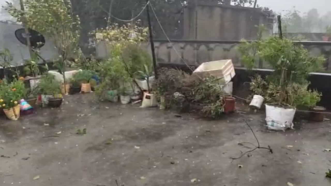 Latest Weather Update: ঝেঁপে নামল বৃষ্টি, সঙ্গে পড়ছে শিল, রাজ্যে জারি কমলা-হলুদ সতর্কতা Latest Weather Update: ঝেঁপে নামল বৃষ্টি, সঙ্গে পড়ছে শিল, রাজ্যে জারি কমলা-হলুদ সতর্কতা