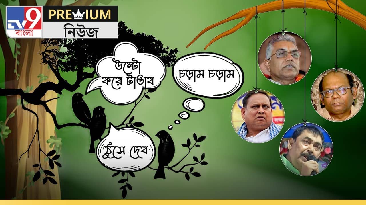 EXPLAINED: বসন্তে কুকথার কুহু কুহু... ভোট এলেই কেন নেতাদের ভাষা পাল্টে যায়?