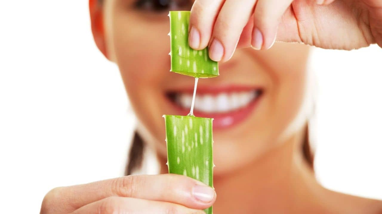 Aloevera Using Tips: কী ভাবে অ্যালোভেরা ব্যবহার করলে সবচেয়ে বেশি কার্যকর হয় জানেন?