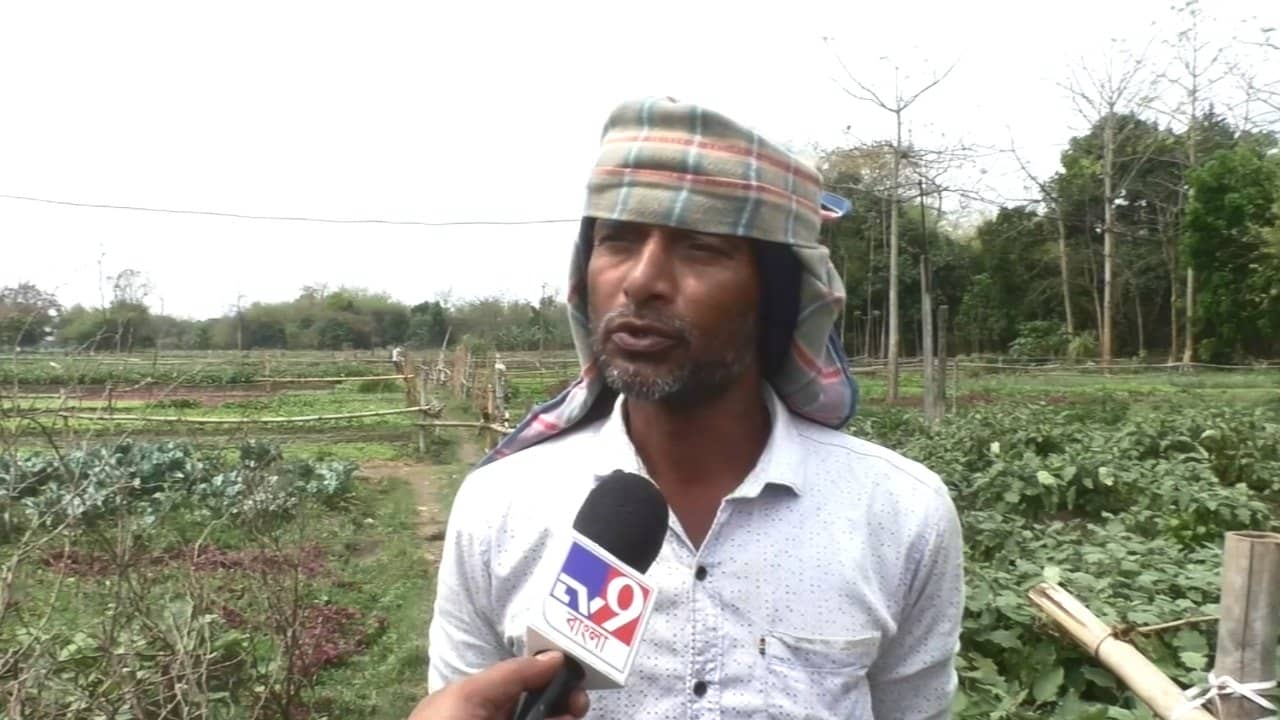 Farmers in Tension: আগের ৩ কিলোর বদলে এখন লাগছে ২০ কিলো! রাজ্যজুড়ে সারের ‘কালোবাজারি’ নিয়ে চিন্তায় কৃষকরা