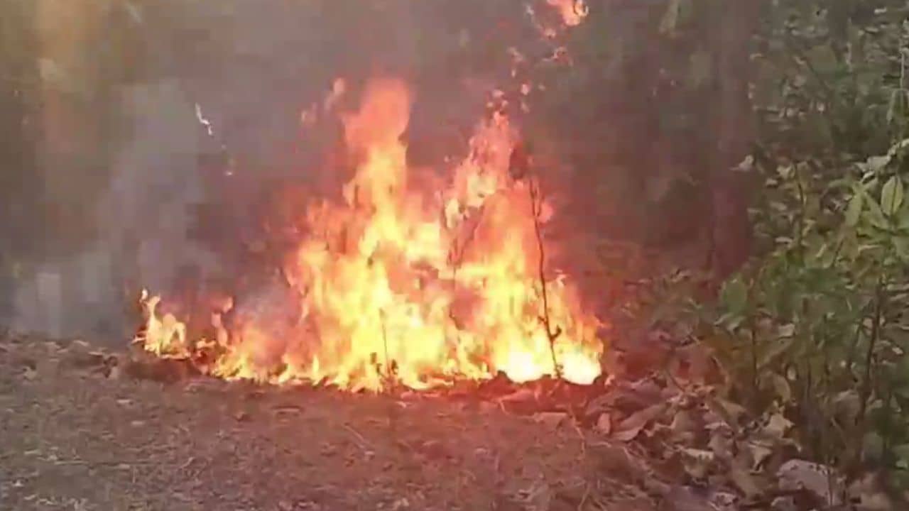 Susunia Hill: ফের আগুনে জ্বলল বাঁকুড়ার জঙ্গল, গোটা রাতজুড়ে চলছে নেভানোর কাজ