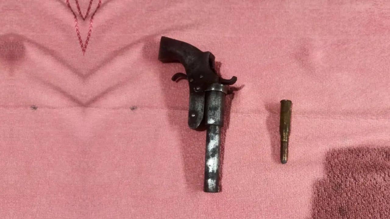 Basirhat: আন্তঃরাজ্য অস্ত্র ব্যবসায়ীদের সঙ্গে যোগ, বসিরহাটকাণ্ডে নয়া মোড়