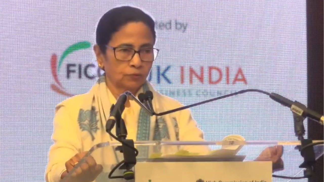 CM Mamata Banerjee: বাংলায় বেকারত্ব ৪৬ শতাংশ কমেছে, এটা বড় সাফল্য নয়?, লন্ডনে বললেন মমতা