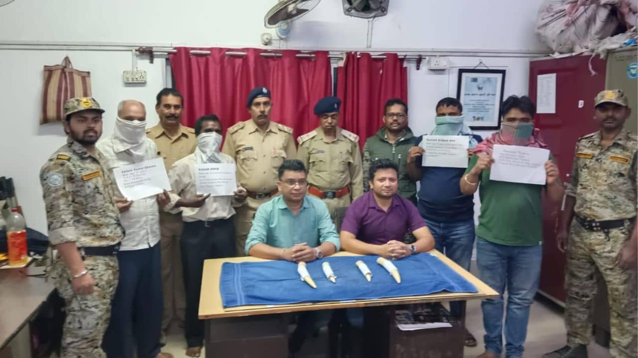 Elephant tusk: হাজরা মোড়ে ৪টি বিশাল হাতির দাঁত নিয়ে হাজির পাচারকারীরা, আচমকা চারদিক থেকে ছুটে এল কয়েকজন